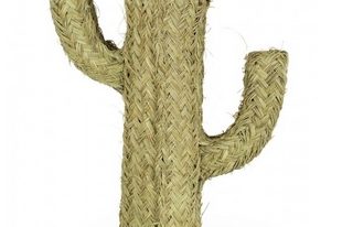 cactus esparto