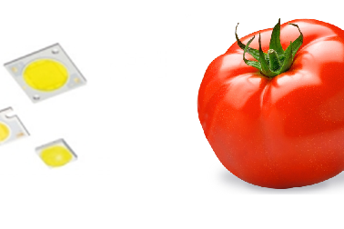 LED_cultivo_tomate_metal_luz