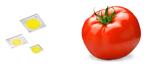 LED_cultivo_tomate_metal_luz
